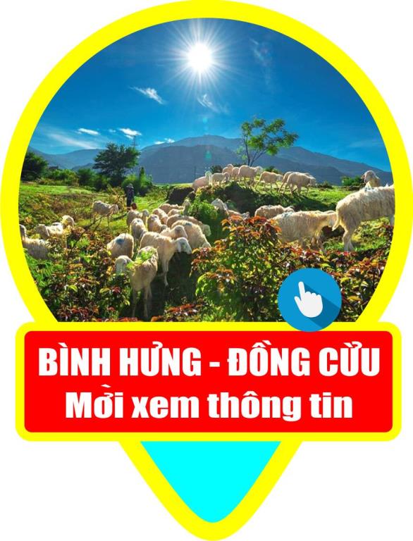  Đồng Cừu Hang Rái Vĩnh Hy Vườn Nho Ninh Thuận