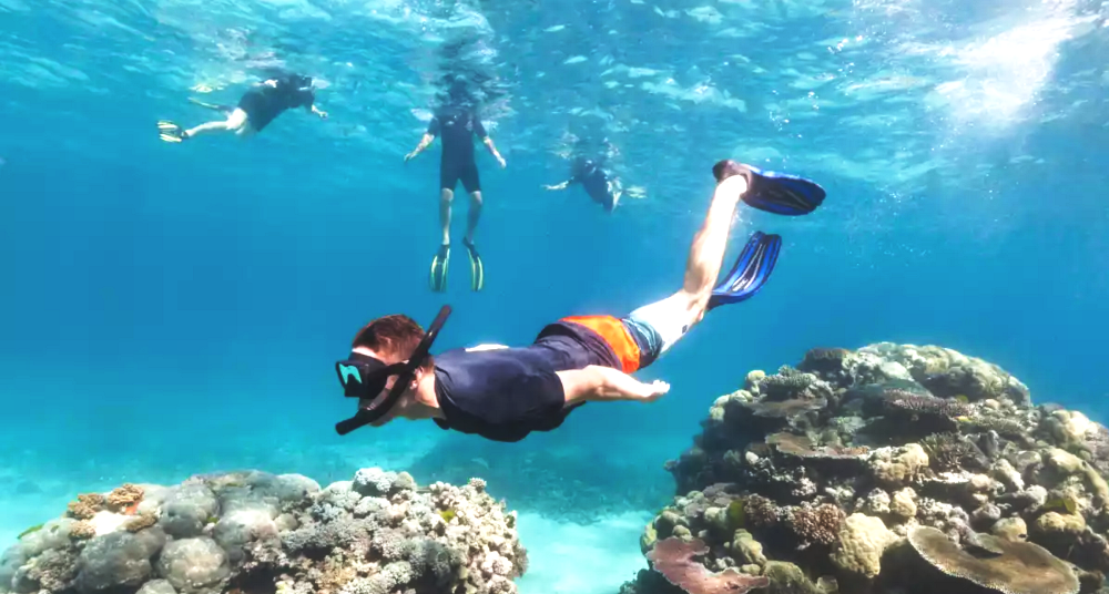 芽庄潜水与浮潜 Snorkeling - Diving