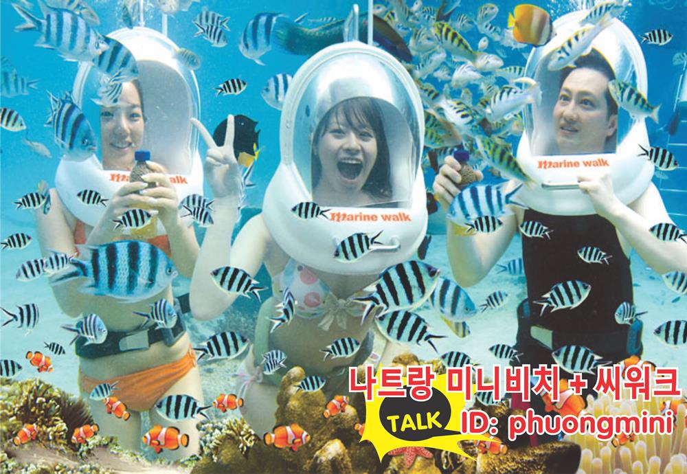 나트랑 미니비치 + 씨워크 ( Đi bộ dưới biển )