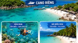 Tour riêng 2 đảo Nha Trang / Xem san hô Hòn Mun & Bãi biển Mini